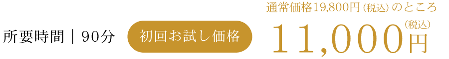 所要時間｜90分　初回お試し価格　通常価格19,800円（税込）のところ11,000円（税込）